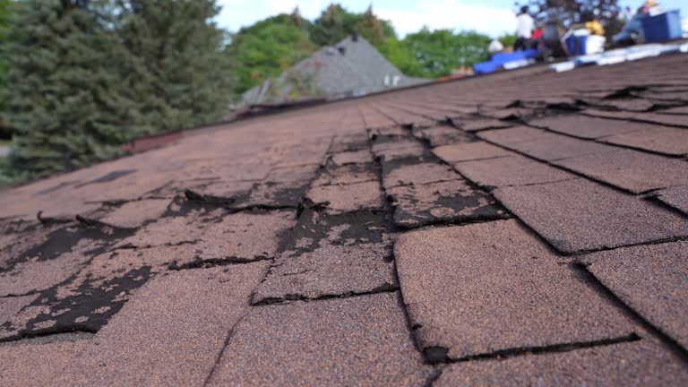 Emergency Roof Repair